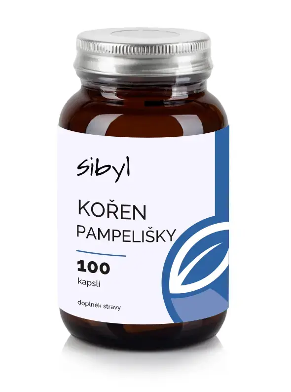 Koen pampeliky